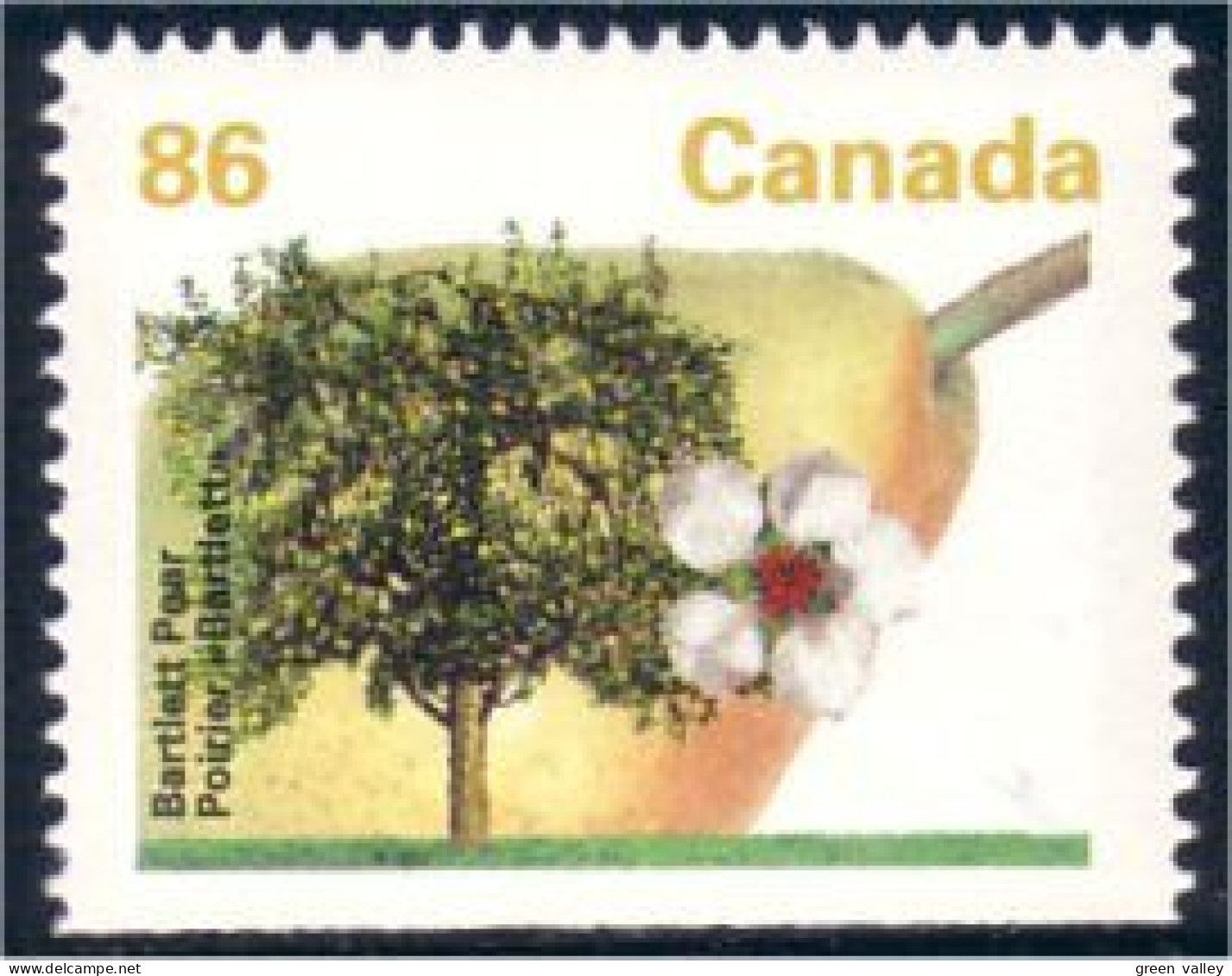 Canada Poire Bartlett Pear Perf 13.1 MNH ** Neuf SC (C13-72icsbb) - Fruits