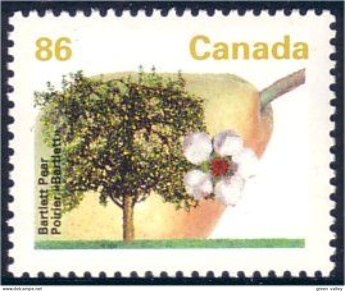 Canada Poire Bartlett Pear MNH ** Neuf SC (C13-72b) - Árboles