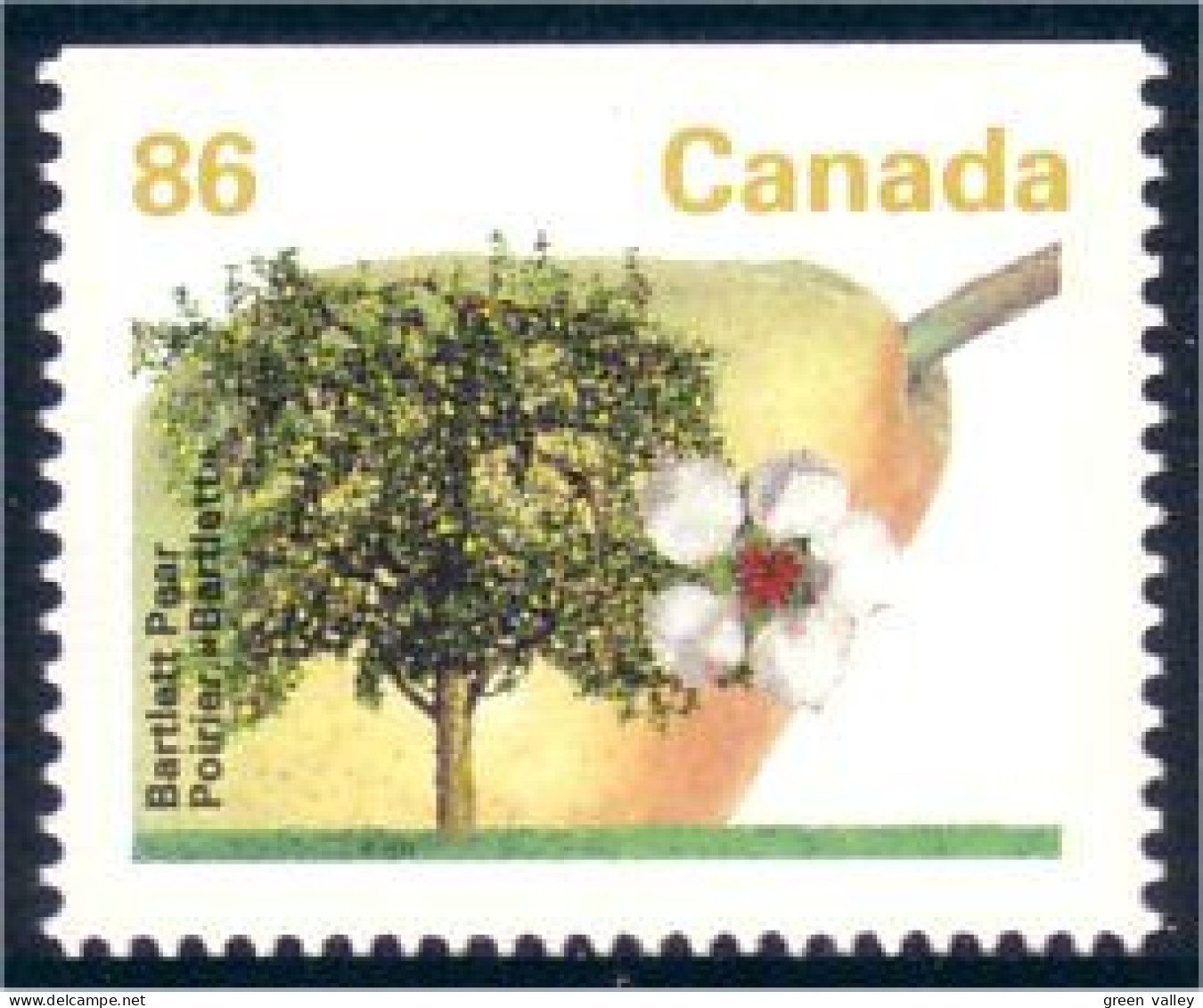Canada Poire Bartlett Pear MNH ** Neuf SC (C13-72ahb) - Fruits