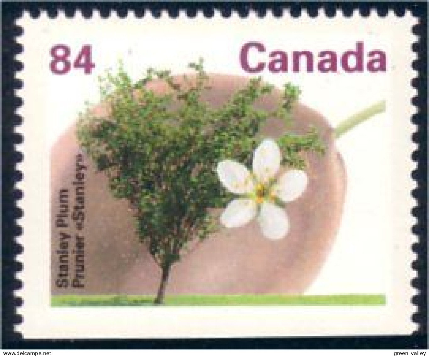 Canada Prunier Stanley Plum MNH ** Neuf SC (C13-71abc) - Other & Unclassified