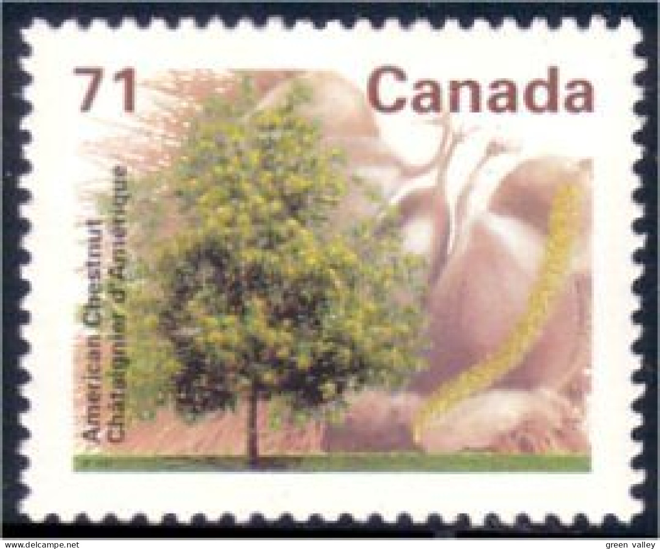 Canada Chataignier D'Amerique American Chestnut MNH ** Neuf SC (C13-70b) - Fruits