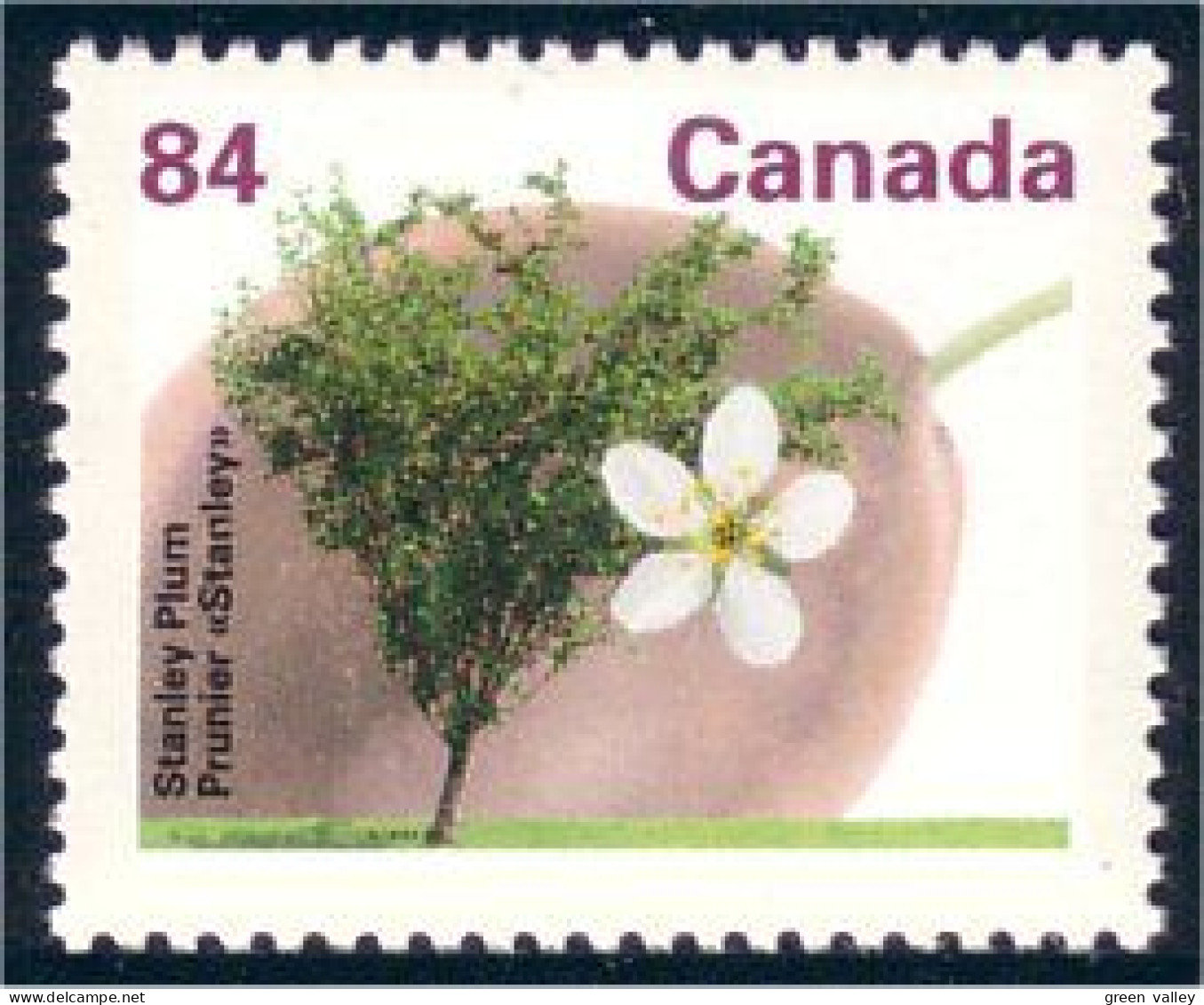 Canada Prunier Stanley Plum MNH ** Neuf SC (C13-71a) - Ungebraucht