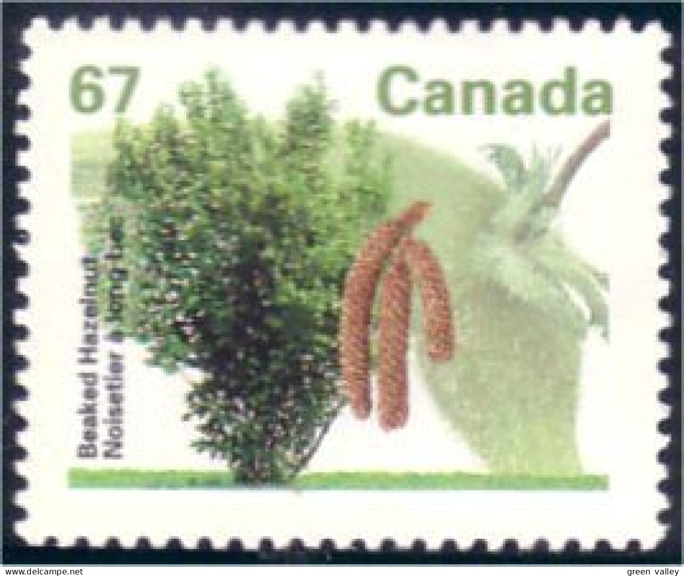 Canada Noisetier Long-bec Noisette Beaked Hazelnut MNH ** Neuf SC (C13-68c) - Fruits