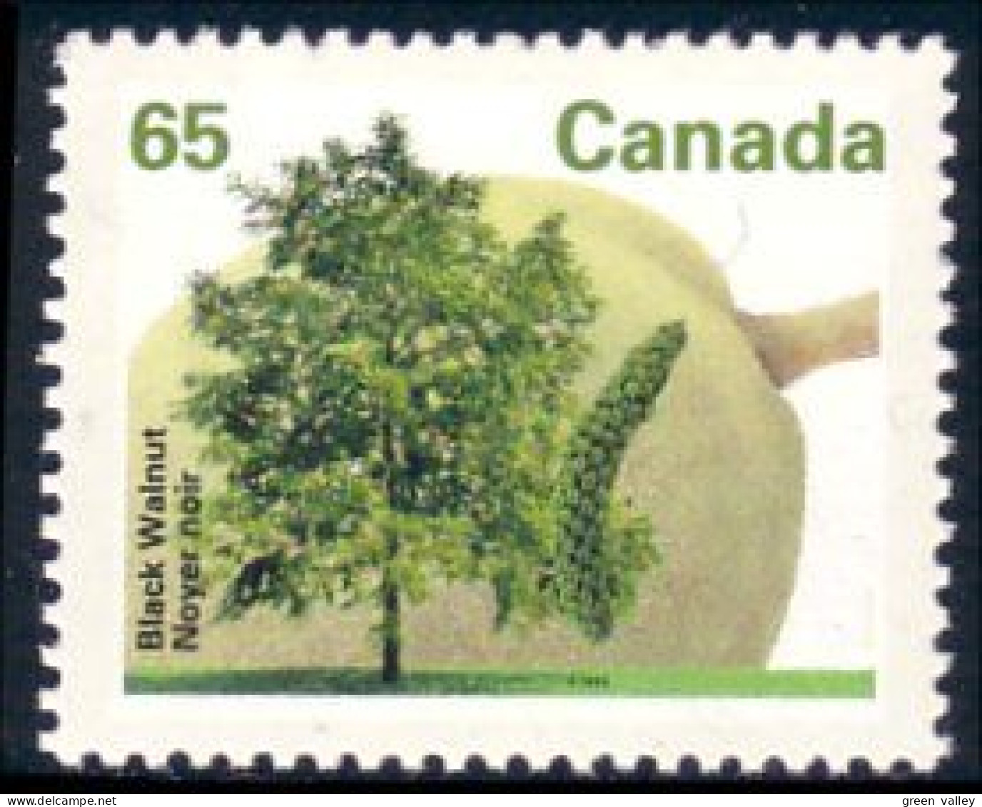 Canada Noyer Noir Noix Black Walnut MNH ** Neuf SC (C13-67d) - Levensmiddelen