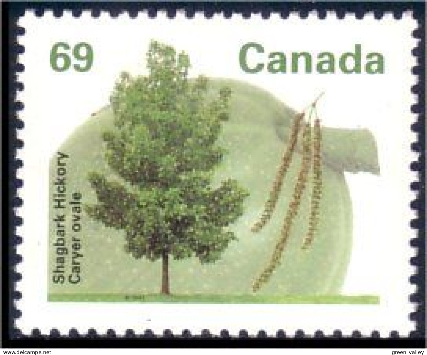 Canada Caryer Shagbark Hickory MNH ** Neuf SC (C13-69b) - Alberi