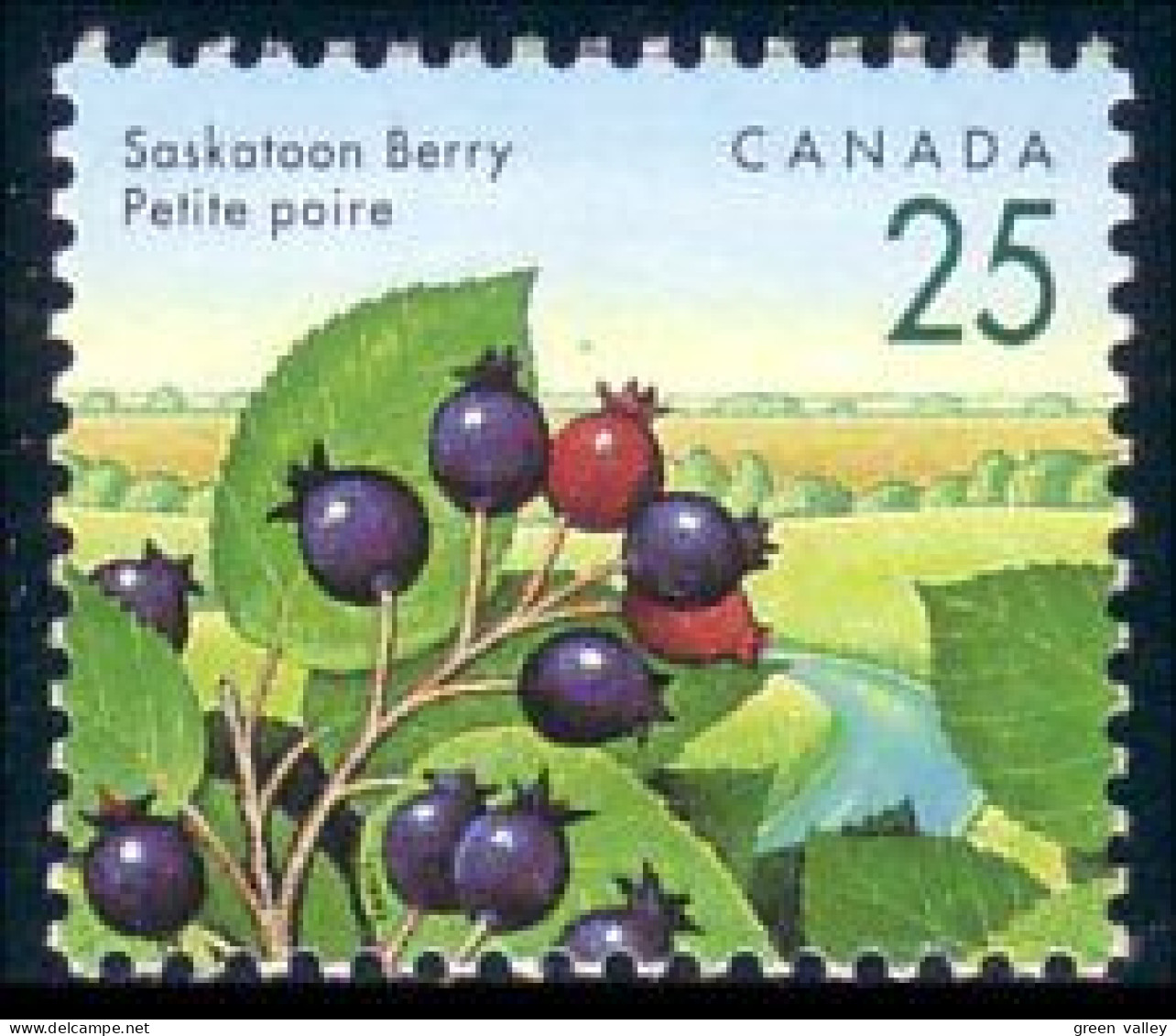 Canada Petite Poire Saskatoon Berry MNH ** Neuf SC (C13-55b) - Sonstige & Ohne Zuordnung