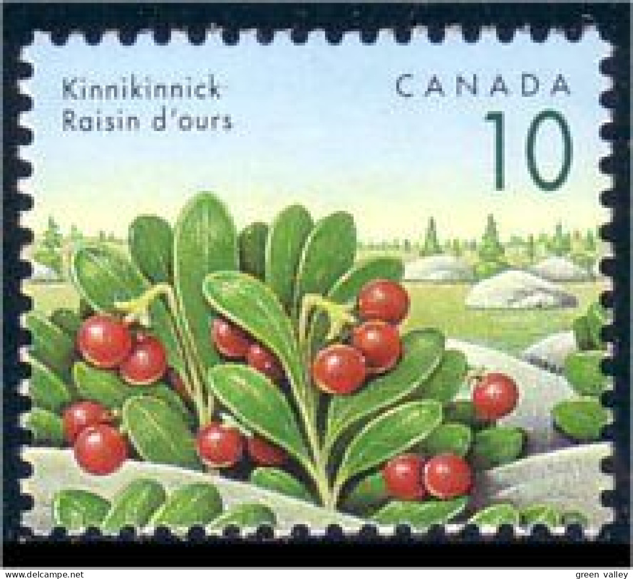 Canada Raisin D'ours Kinnikinnick MNH ** Neuf SC (C13-54c) - Fruits