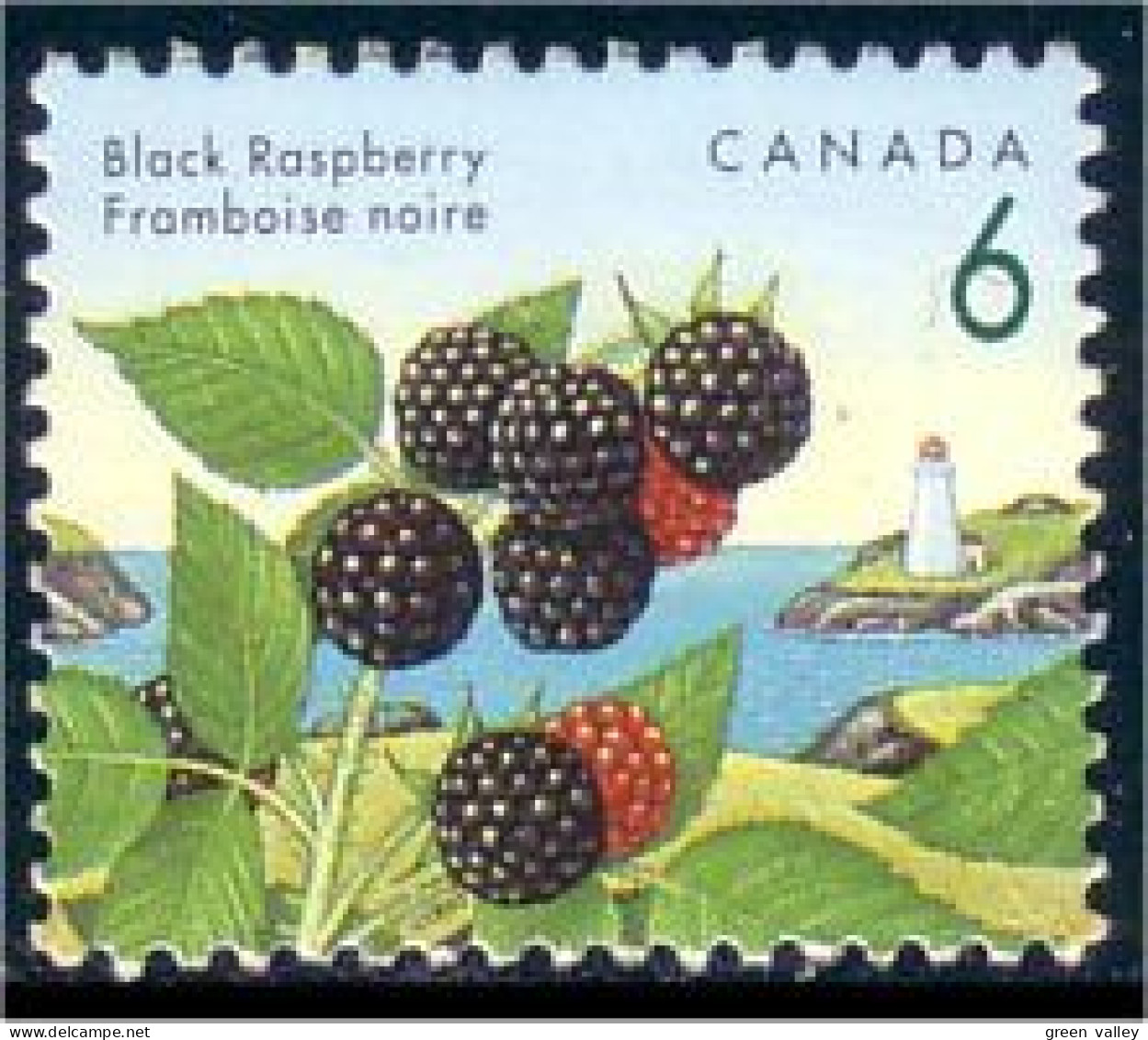 Canada Mure Framboise Noire Black Raspberry MNH ** Neuf SC (C13-53c) - Frutas