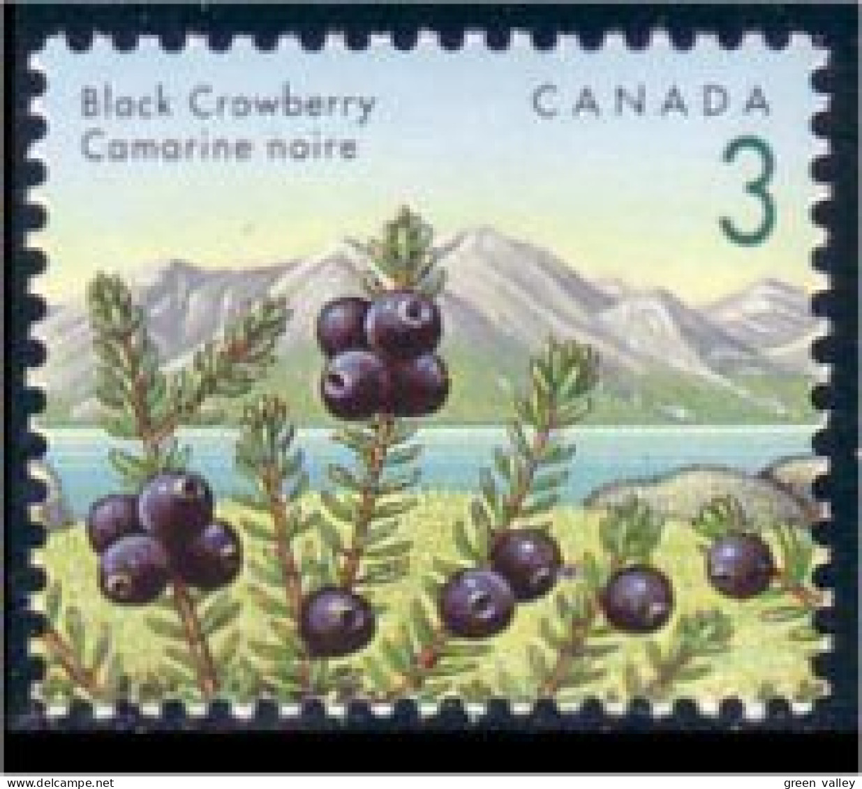 Canada Camarine Noire Black Crowberry MNH ** Neuf SC (C13-51c) - Frutas