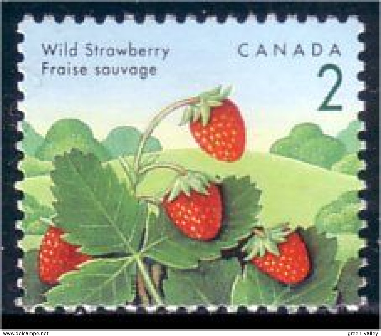 Canada Fraise Strawberry MNH ** Neuf SC (C13-50c) - Frutas
