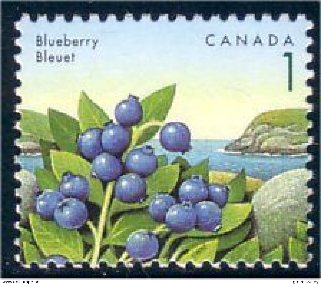 Canada Blueberry Bleuet Myrtille MNH ** Neuf SC (C13-49b) - Sonstige & Ohne Zuordnung