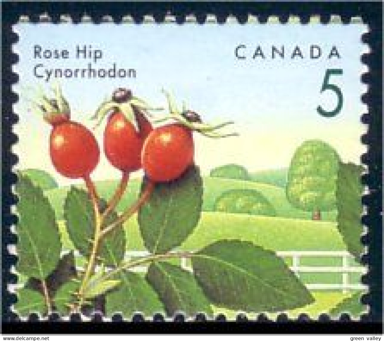 Canada Cynorrhodon Rose Hip MNH ** Neuf SC (C13-52b) - Sonstige & Ohne Zuordnung