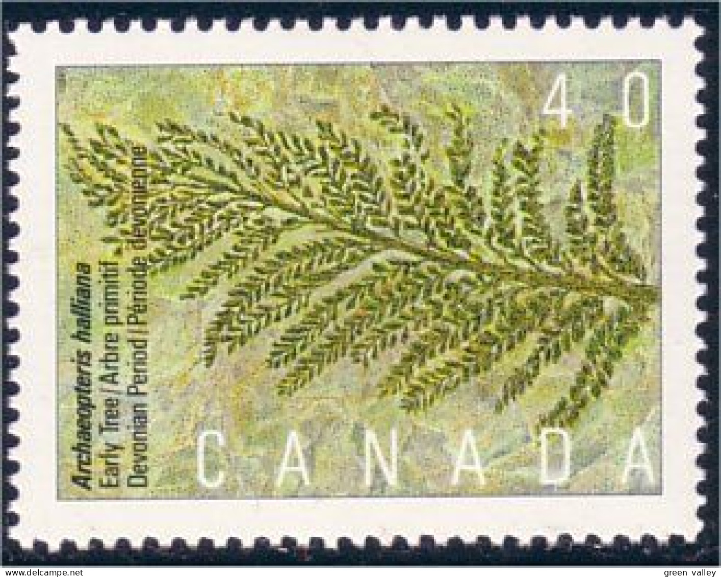 Canada Archaeopteris Fossiles MNH ** Neuf SC (C13-07a) - Nuevos