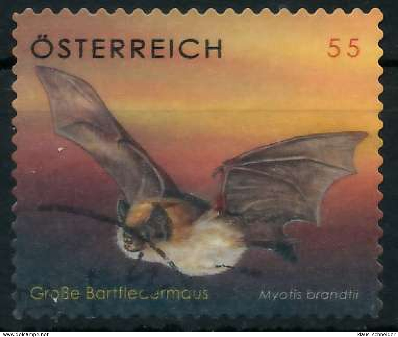 ÖSTERREICH 2007 Nr 2651Bb Gestempelt X2EA6DA - Used Stamps