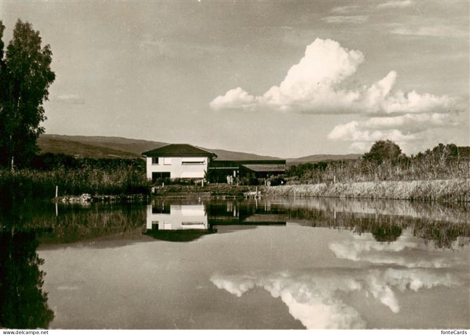 13908771 Thielle_NE Heim Und Gelaende Am Neuenburgersee - Autres & Non Classés