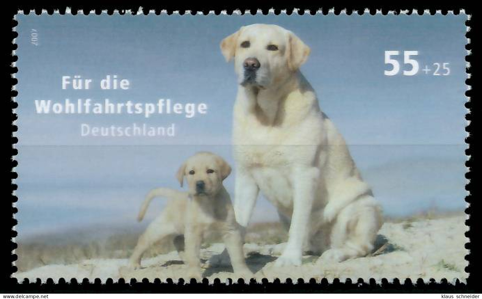 BRD BUND 2007 Nr 2632 Postfrisch SE07DEA - Unused Stamps