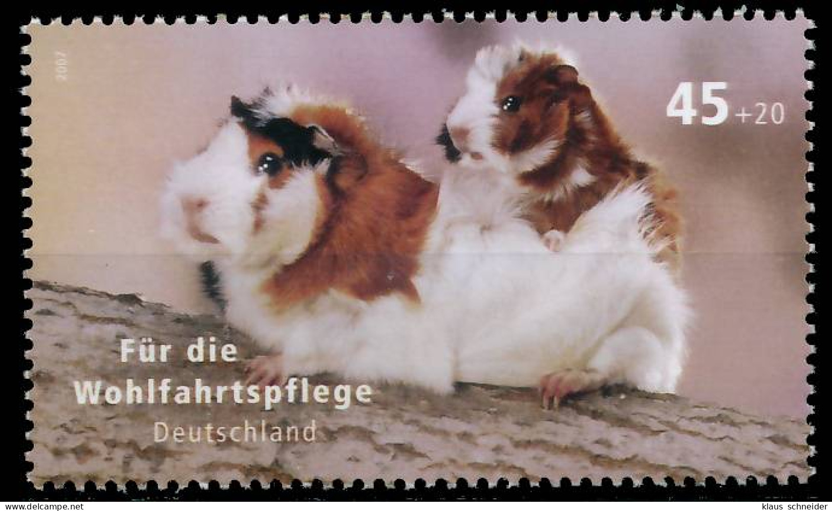 BRD BUND 2007 Nr 2630 Postfrisch SE07DE2 - Unused Stamps