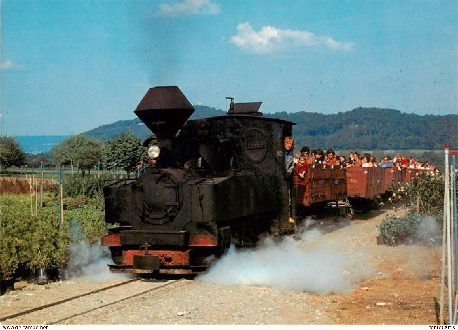 13901414 Schinznach Bad Schinznacher Baumschulbahn Dampflokomotive Taxus Schinzn - Autres & Non Classés