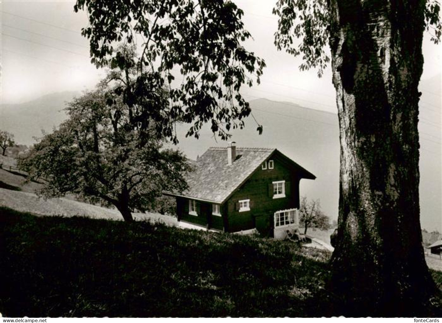 13892268 Beckenried Vierwaldstaettersee NW Ferienhaus Beckenried  - Sonstige & Ohne Zuordnung