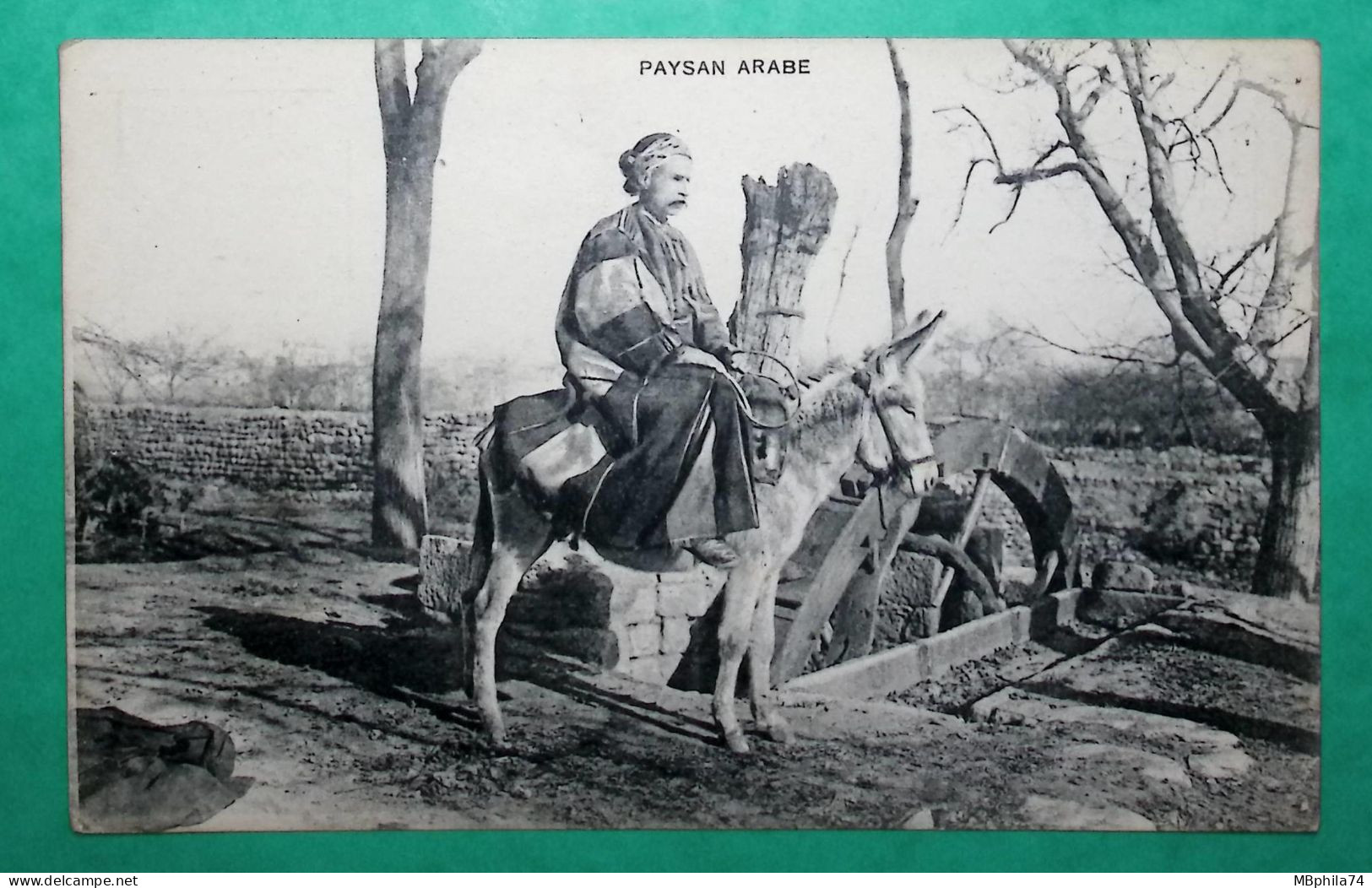 CARTE POSTALE PAYSAN ARABE ALEP SYRIE ANE - Siria