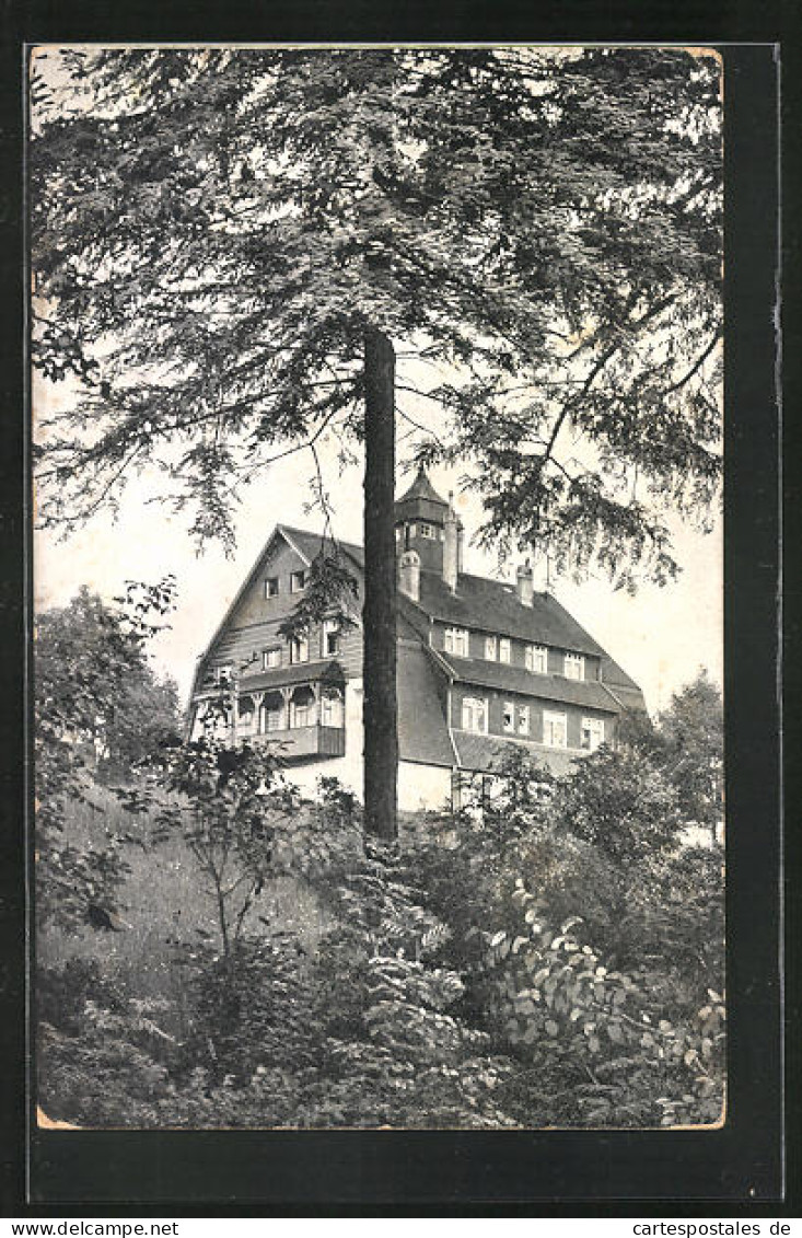 AK Eibenstock, Gasthaus Und Wandererheim Bielhaus  - Eibenstock