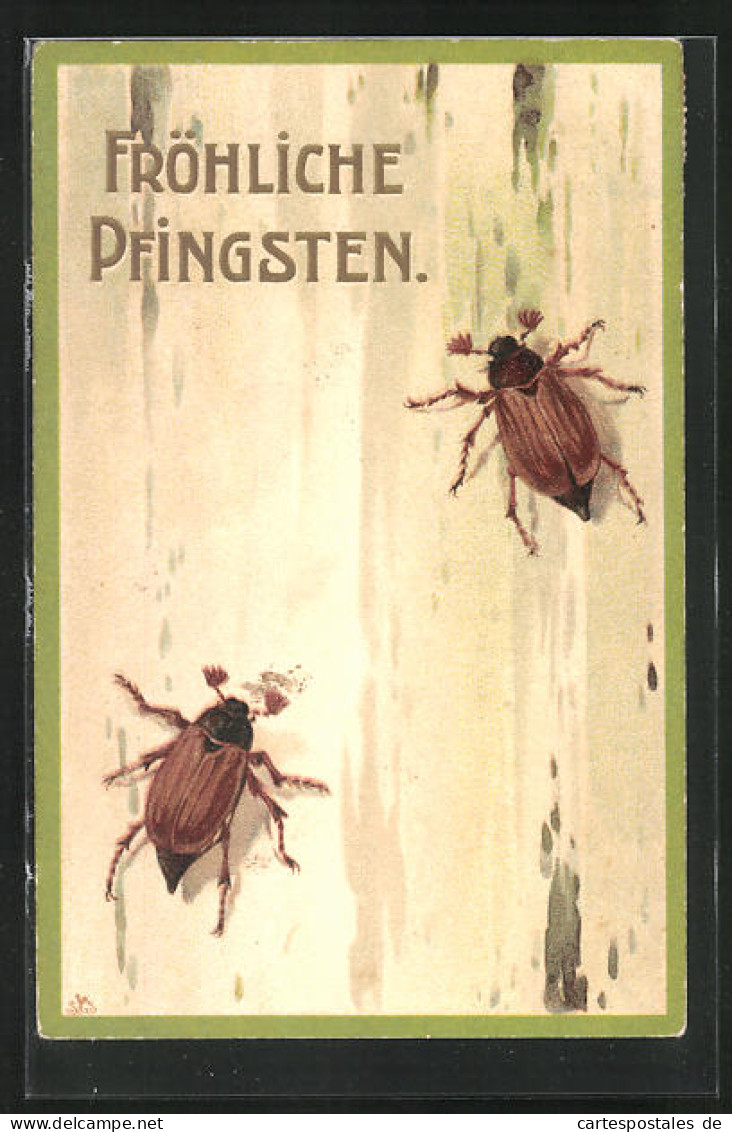 AK Maikäfer Sitzen Auf Einem Baumstamm, Pfingstgruss  - Insects