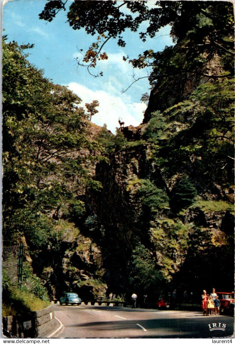 25-4-2024 (3 Z 3) FRance (posted With FM Military Flag Of France Stamp) Forêt Noire - Le Saut Du Cerf - Trees