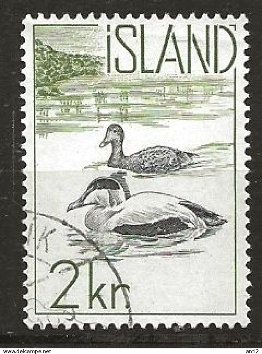 Iceland Island 1959 Native Fauna, Birds, Common Eider (Somateria Mollissima) MI 338 Cancelled(o) - Gebruikt