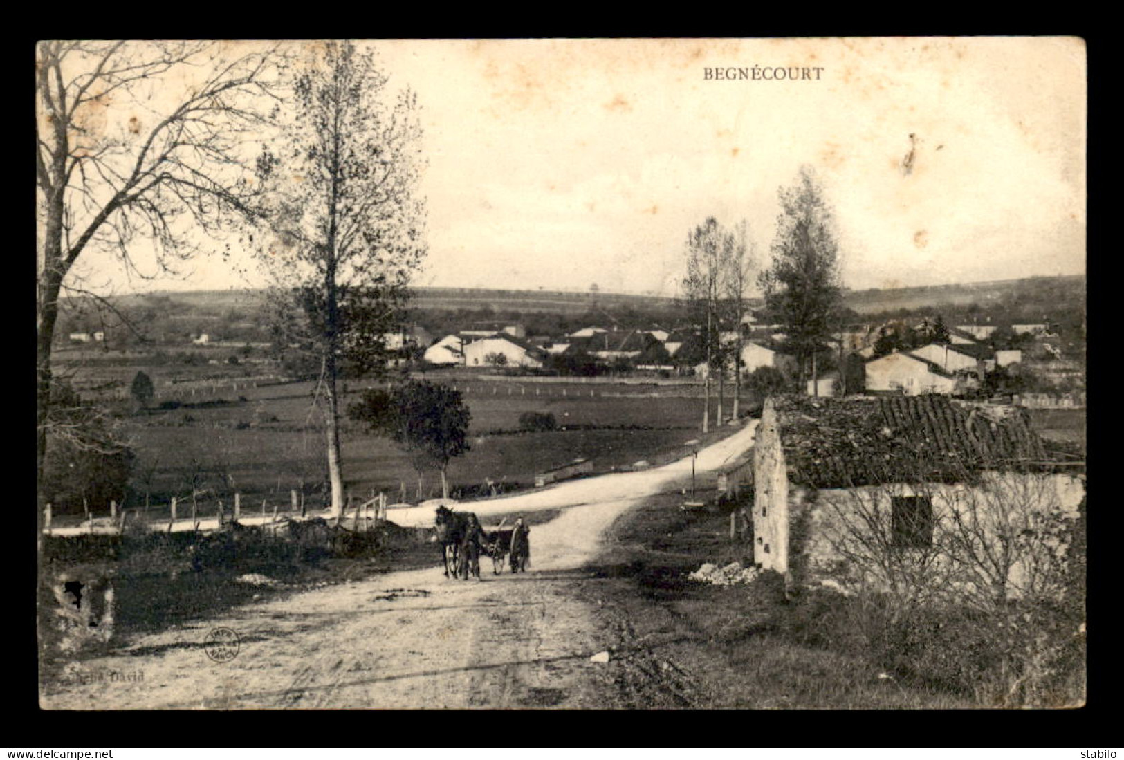 88 - BEGNECOURT - VUE GENERALE - VOIR ETAT - Otros & Sin Clasificación