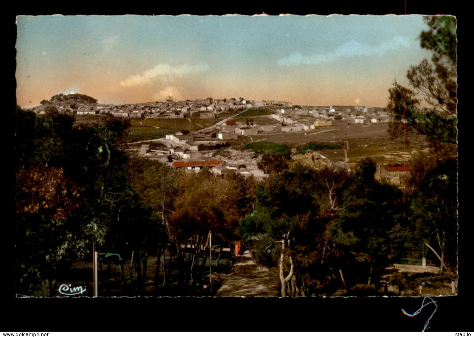 ALGERIE - SAHARA - TIARET - VUE GENERALE - Tiaret