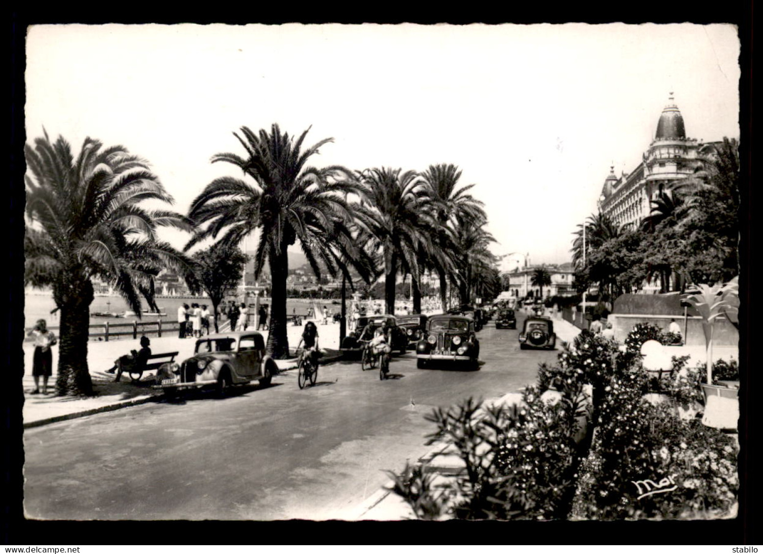 AUTOMOBILES - DIVERS MODELES SUR LA CROISETTE A CANNES - Turismo