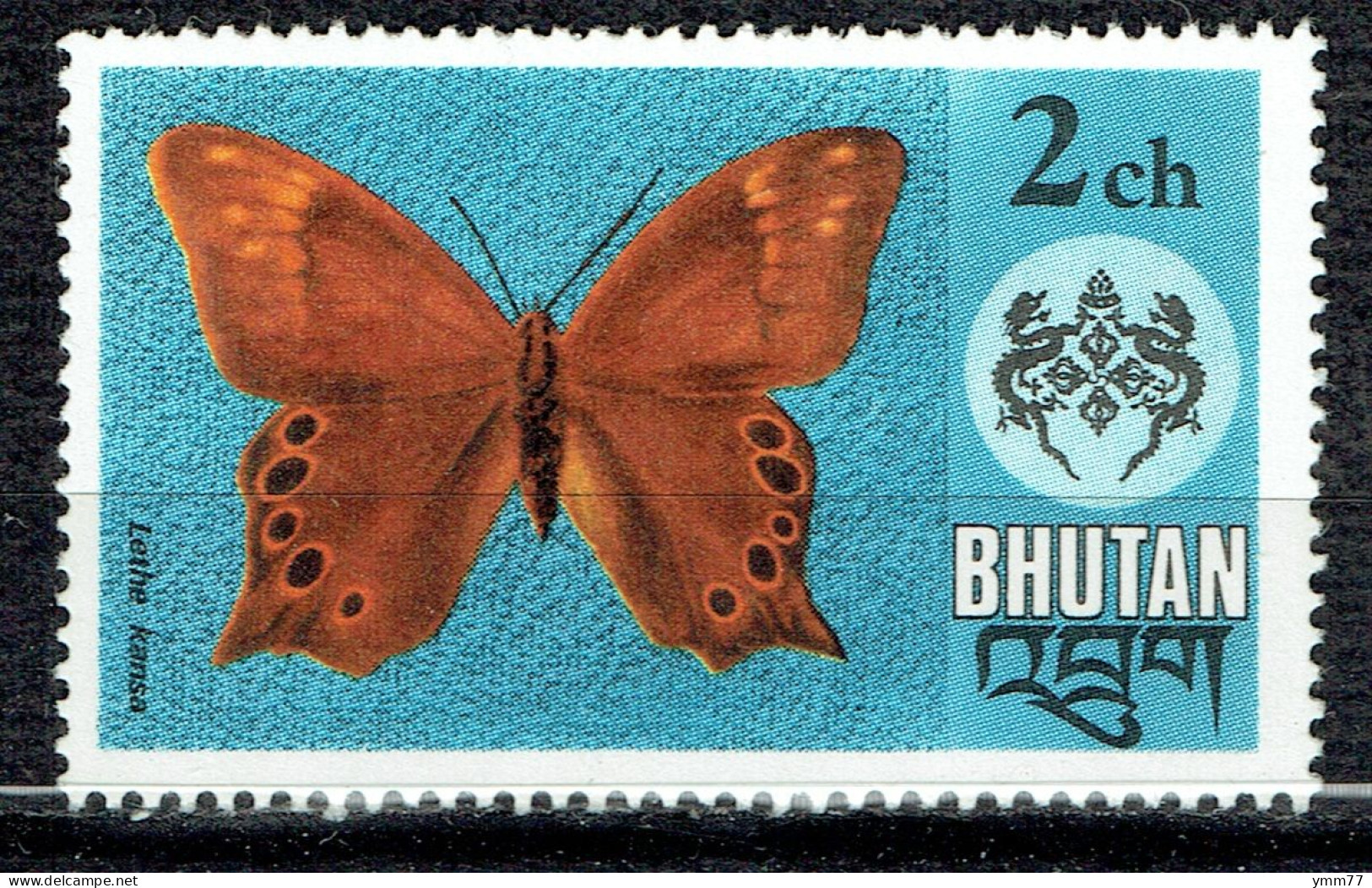 Papillons ; Lethe Kansa - Bhutan