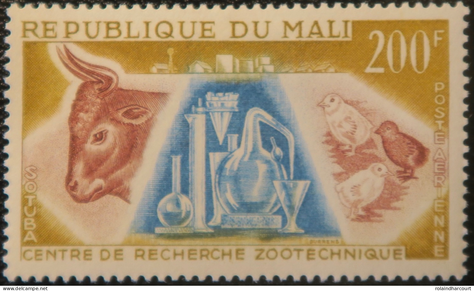 R2253/784 - MALI - 1963 - POSTE AERIENNE - N°15 NEUF* - Malí (1959-...)