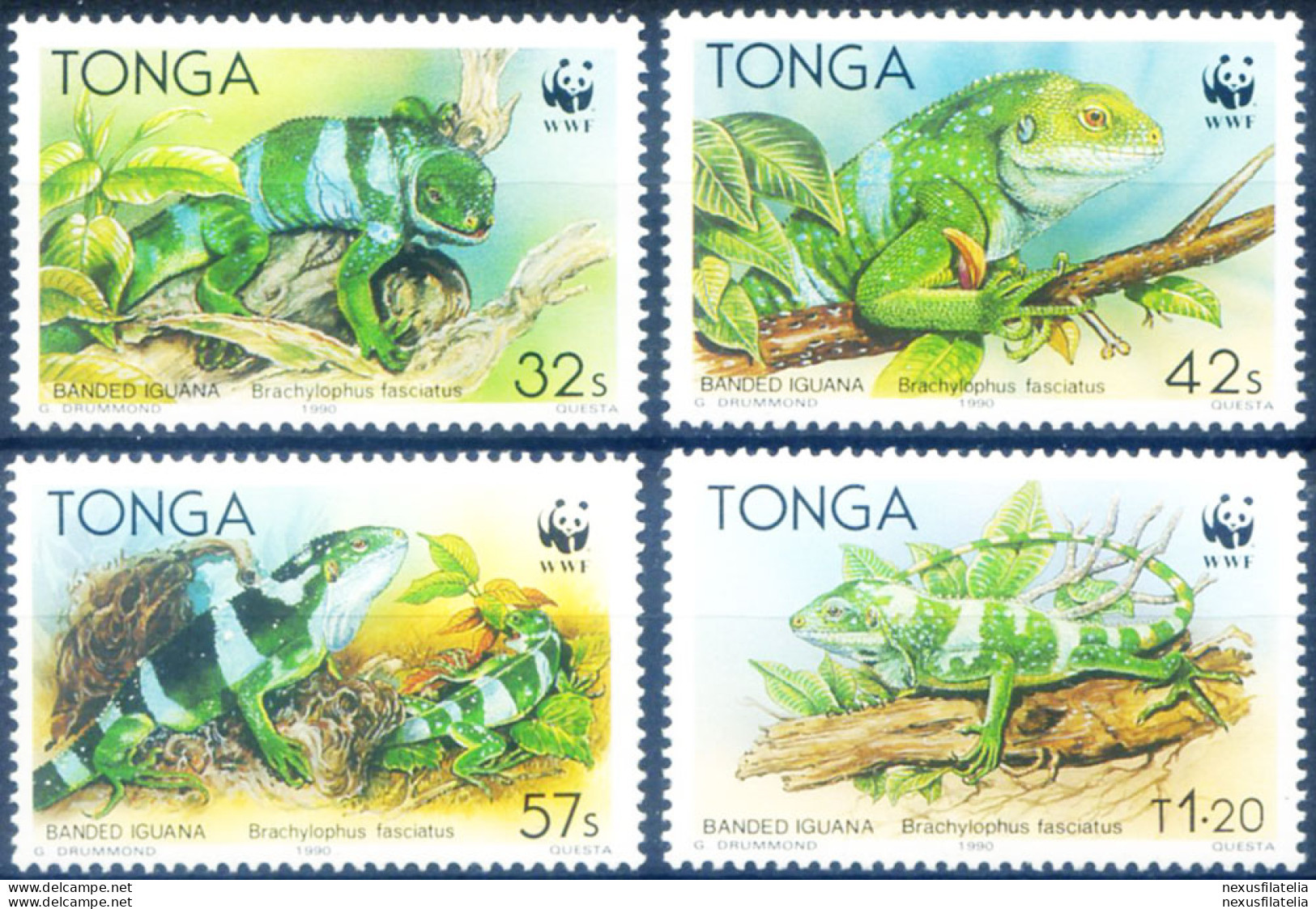 Fauna. WWF. Iguana 1990. - Tonga (1970-...)