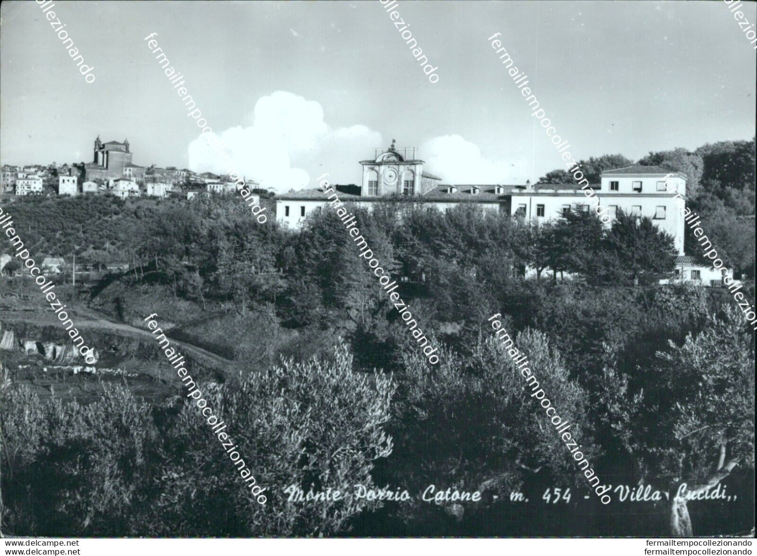 Bn106 Cartolina Monte Porzio Catone Villa Lucidi Provincia Di Roma - Sonstige & Ohne Zuordnung