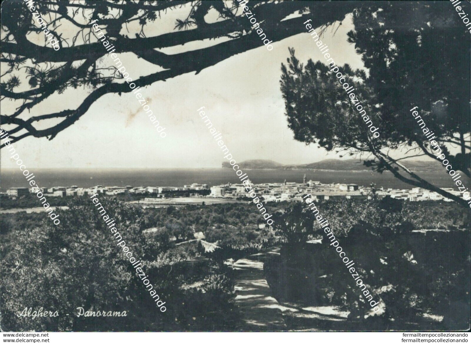 Bn126 Cartolina Alghero Panorama Provincia Di Sassari - Sassari
