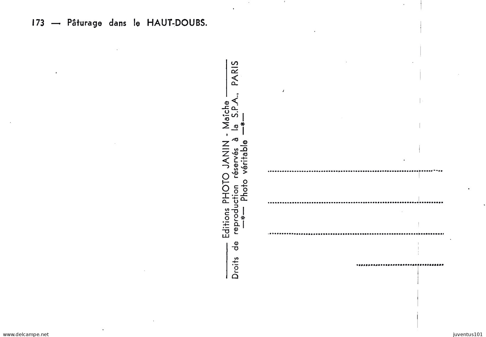 CPSM Pâturage Dans Le HAUT DOUBS      L2870 - Besancon