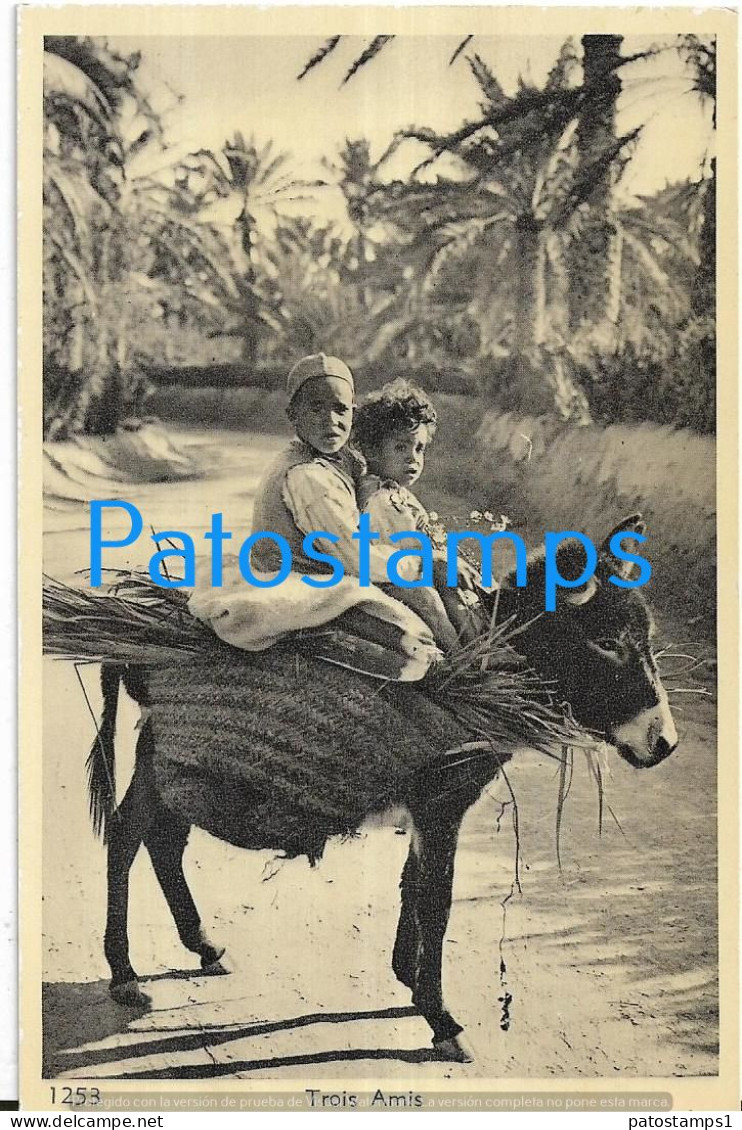 227664 AFRICA TANGER COSTUMES NATIVE CHILDREN IN DONKEY POSTAL POSTCARD - Unclassified