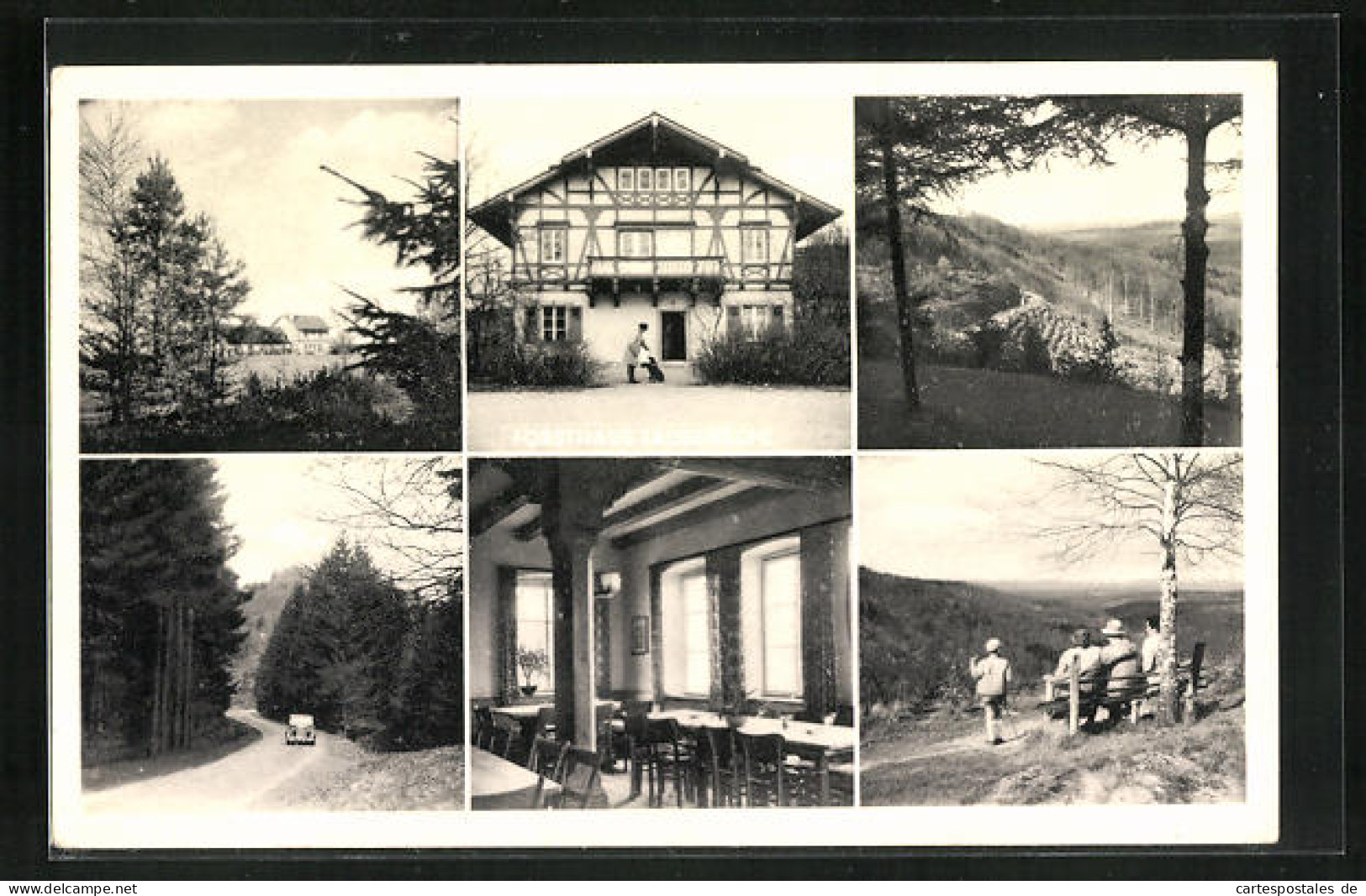 AK Annweiler Am Trifels, Waldgasthaus Forsthaus Taubensuhl  - Hunting