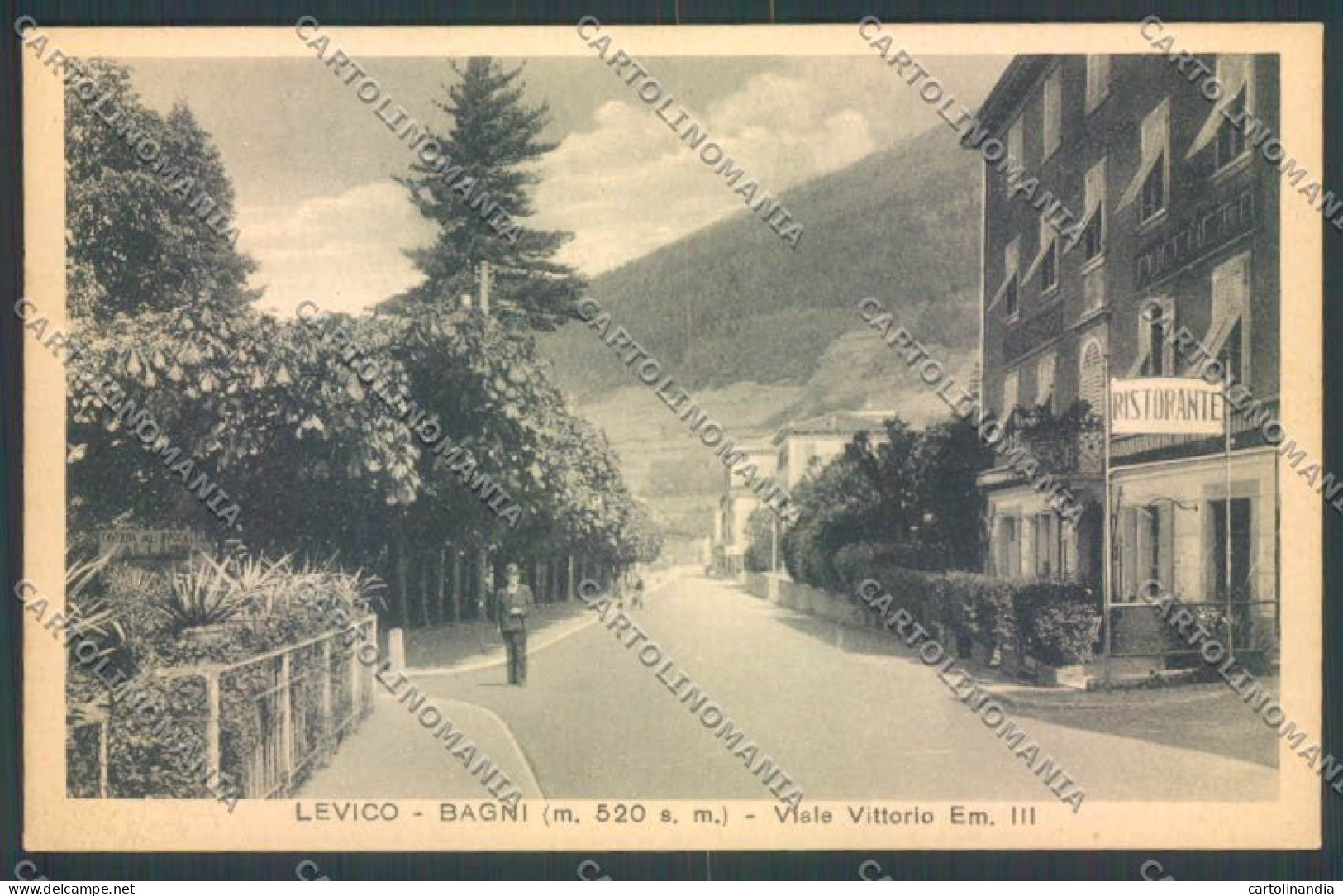 Trento Levico Terme Cartolina ZB0849 - Trento