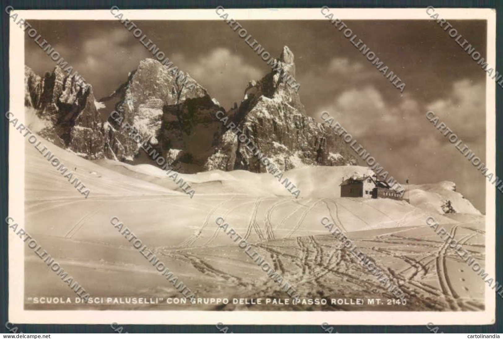 Trento Passo Rolle Nevicata Sci Foto Cartolina ZB0916 - Trento