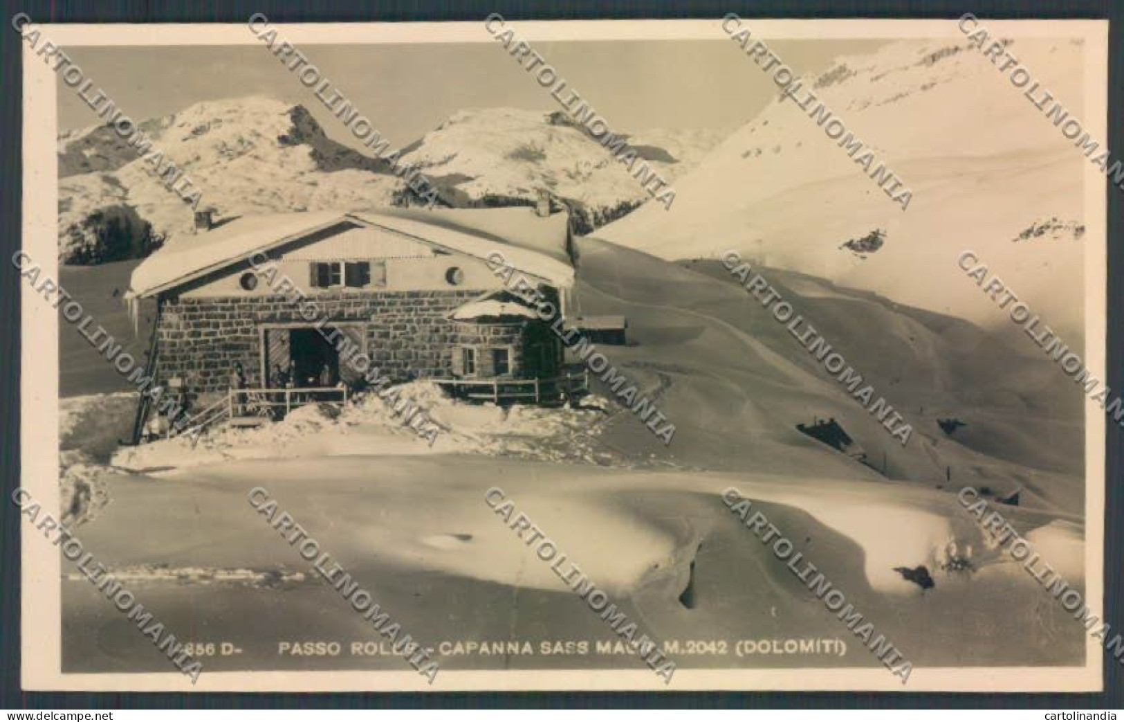 Trento Passo Rolle Nevicata Rifugio Capanna Sass Maor Foto Cartolina ZB0929 - Trento
