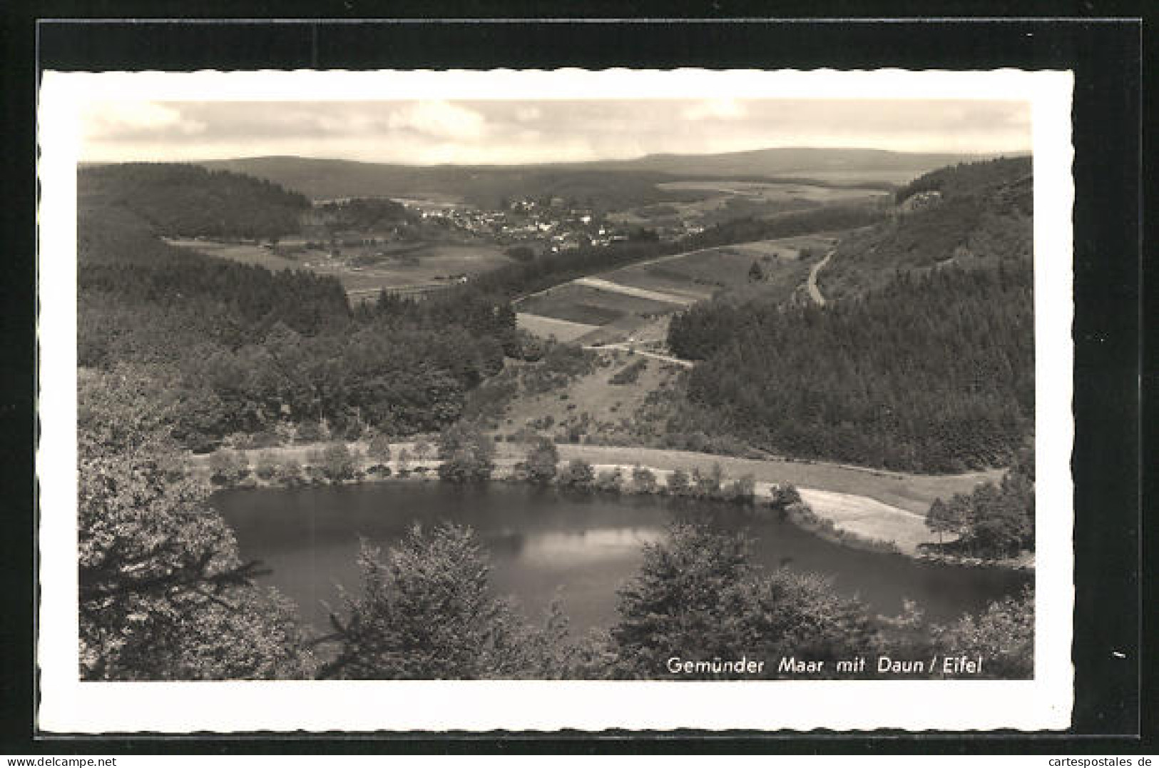 AK Daun /Eifel, Gmünder Maar Mit Blick Auf Ort  - Daun