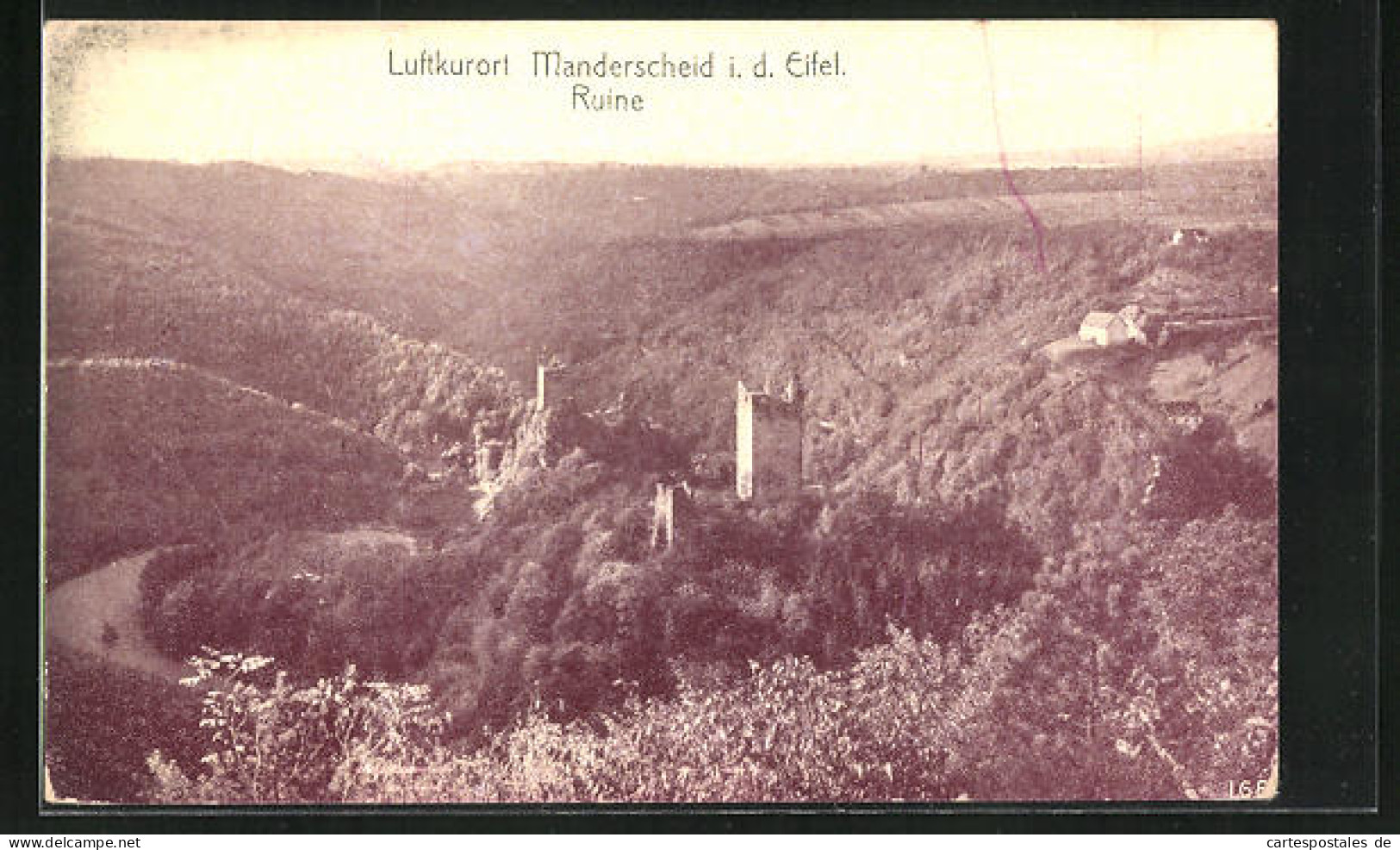 AK Manderscheid /Eifel, Ruine Aus Der Vogelschau  - Manderscheid