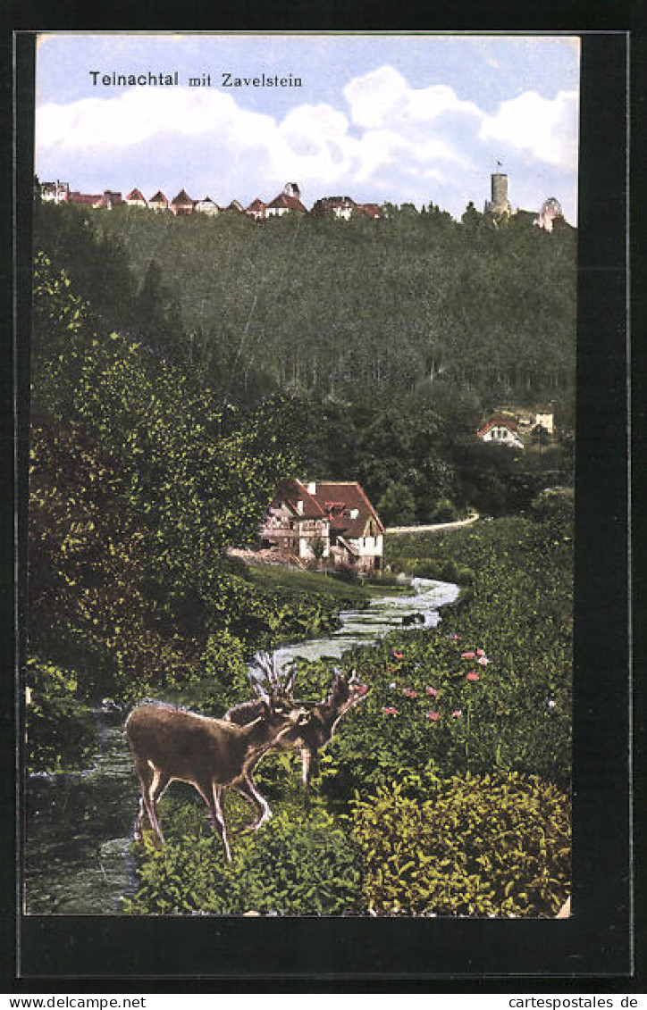 AK Zavelstein /Teinachtal, Blick Aus Dem Tal Zum Ort  - Bad Teinach