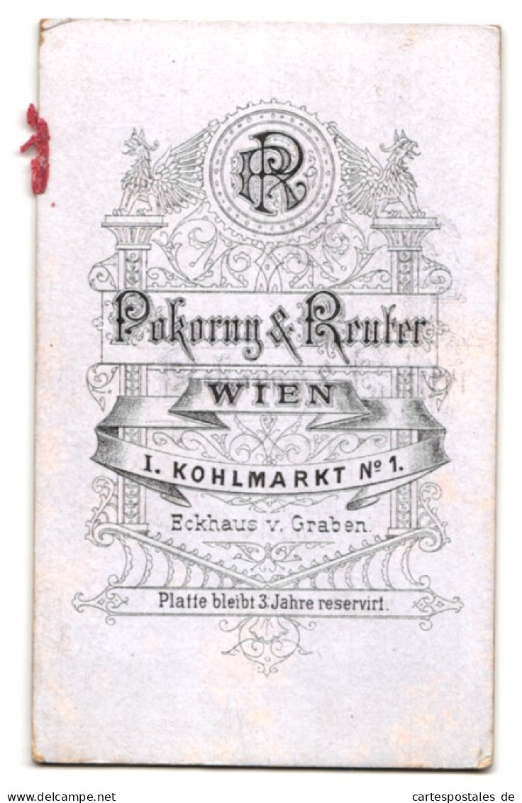 Fotografie Pokorny & Reuter, Wien, Kohlmarkt 1, Junge Dame In Modischer Kleidung  - Anonyme Personen