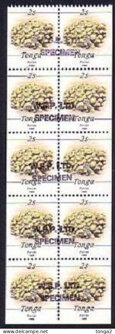 Tonga 1990 2s Coral Booklet Pane - 5 Pairs Hand Stamped Specimen + Imperf Sides & Bottom Of Pane - Read Description - Tonga (1970-...)