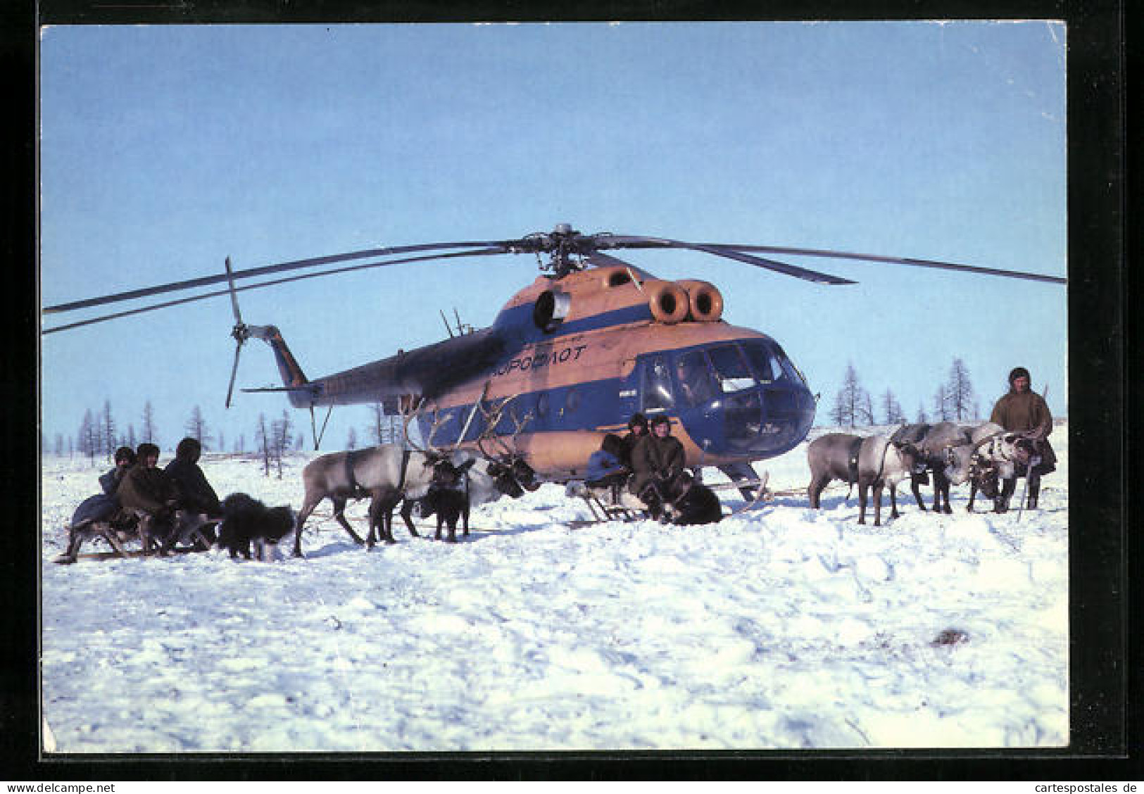 AK Hubschrauber MI-8 In Schneelandschaft Mit Rentieren  - Hubschrauber