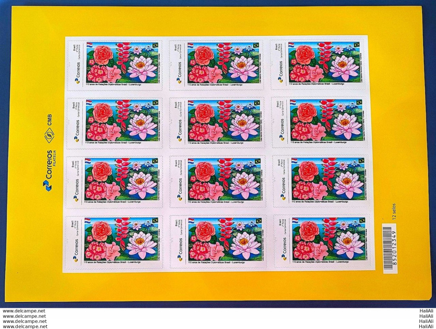 PB 196 Brazil Personalized Stamp Diplomatic Relations Luxembourg Flower Flag 2022 Sheet - Personalizzati