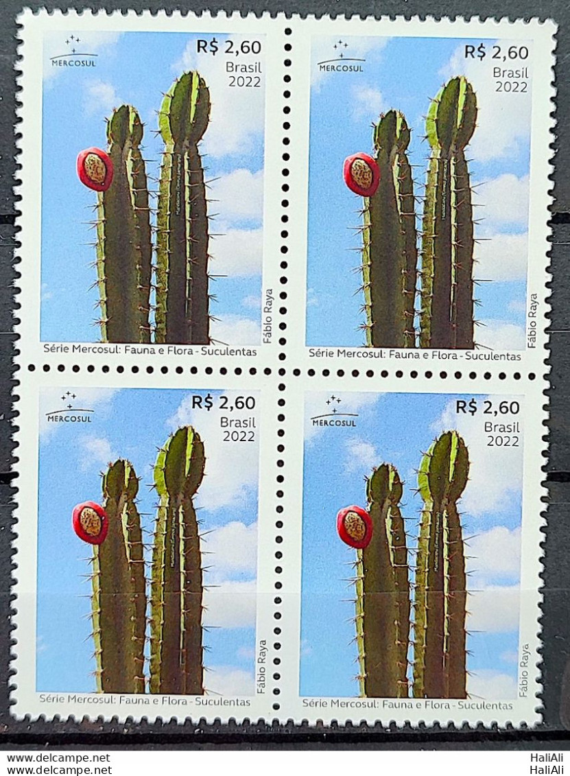 C 4071 Brazil Stamp Mercosul Series Fauna And Flora Suculents 2022 Block Of 4 - Ungebraucht